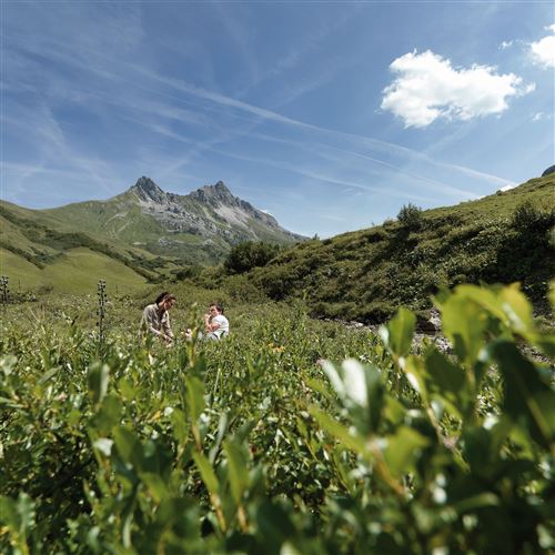 blick-auf-das-auenfelderhorn-und-karhorn-2